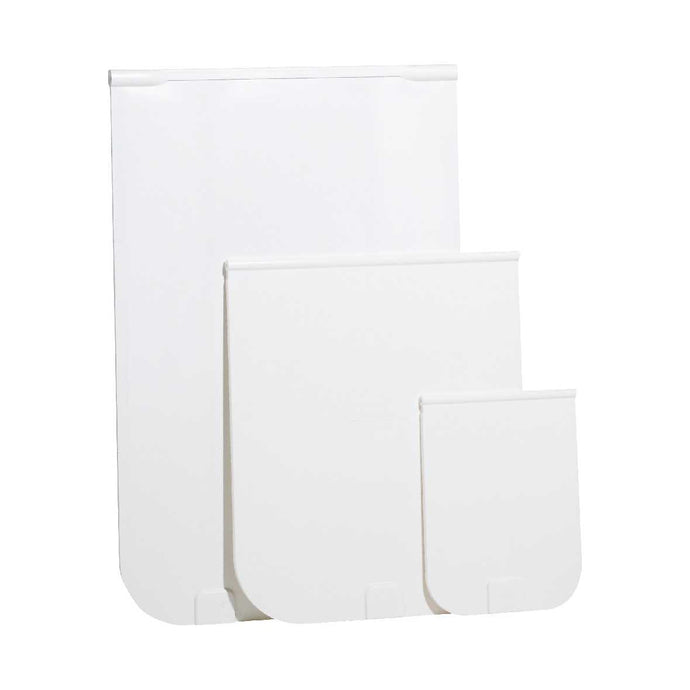 Color_White